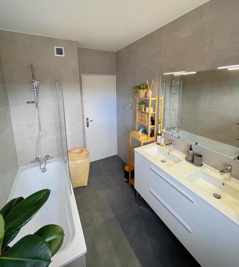 Appartement Tres Cosy A 5 Min Aeroport Geneve Ferney-Voltaire Zewnętrze zdjęcie