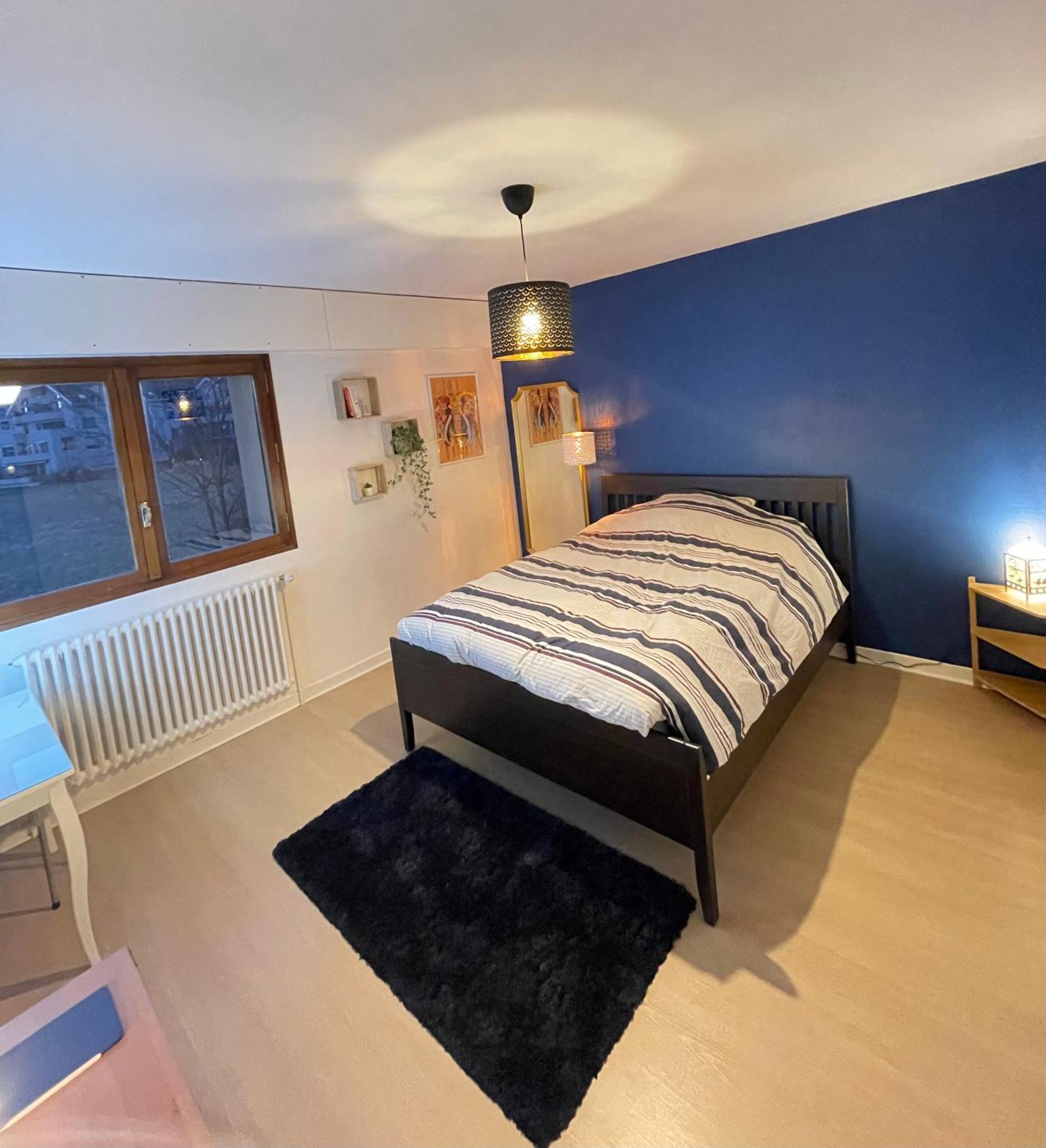 Appartement Tres Cosy A 5 Min Aeroport Geneve Ferney-Voltaire Zewnętrze zdjęcie