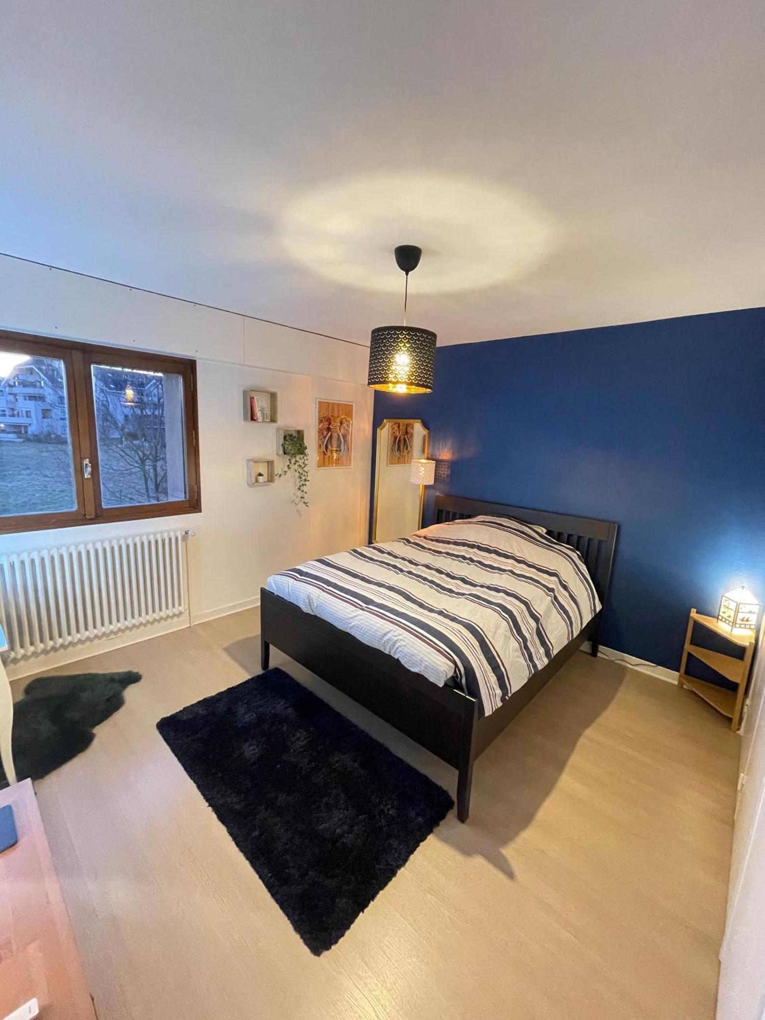 Appartement Tres Cosy A 5 Min Aeroport Geneve Ferney-Voltaire Zewnętrze zdjęcie
